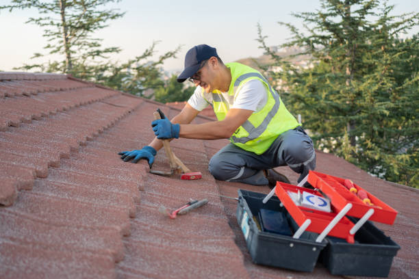 Best Metal Roofing Contractor  in Park Layne, OH